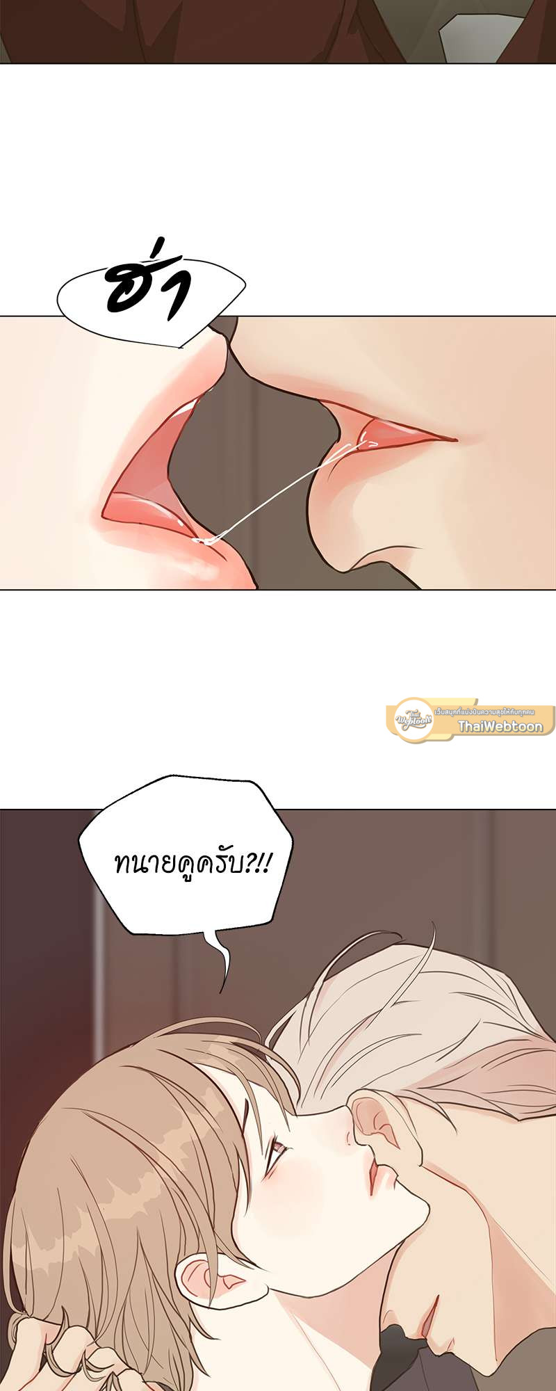 หน้า 41