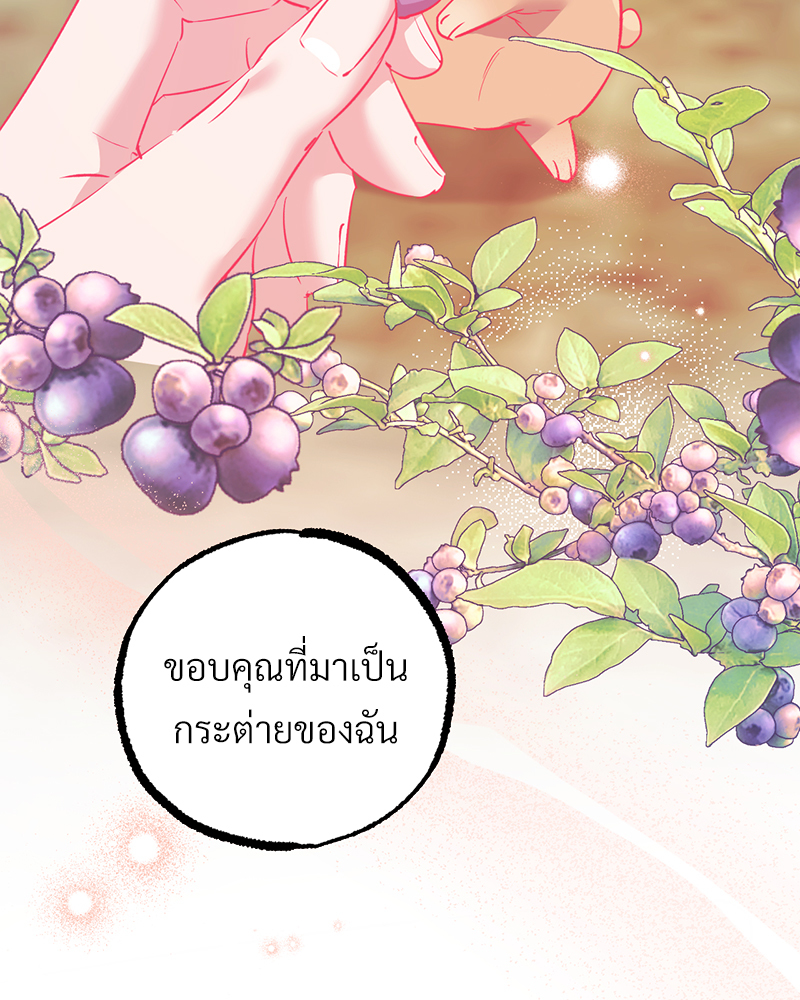 หน้า 113