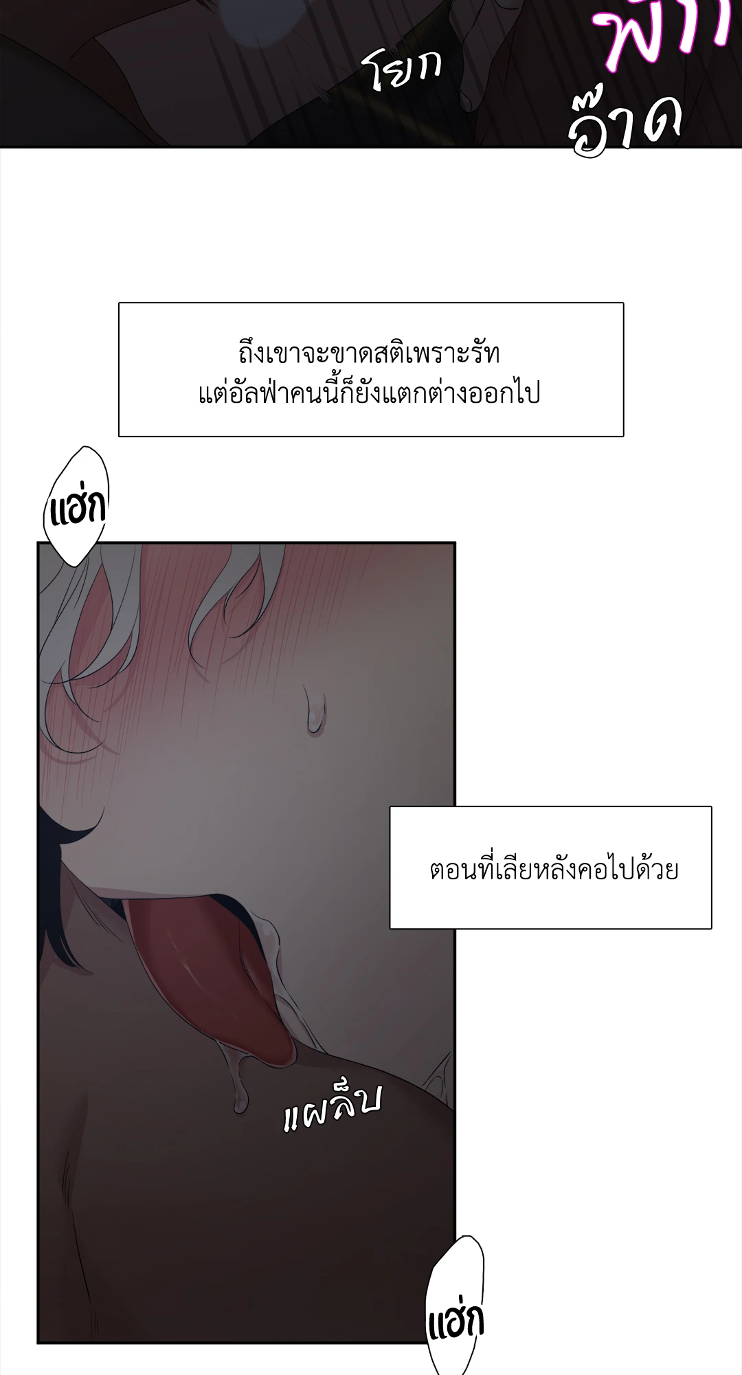 หน้า 46
