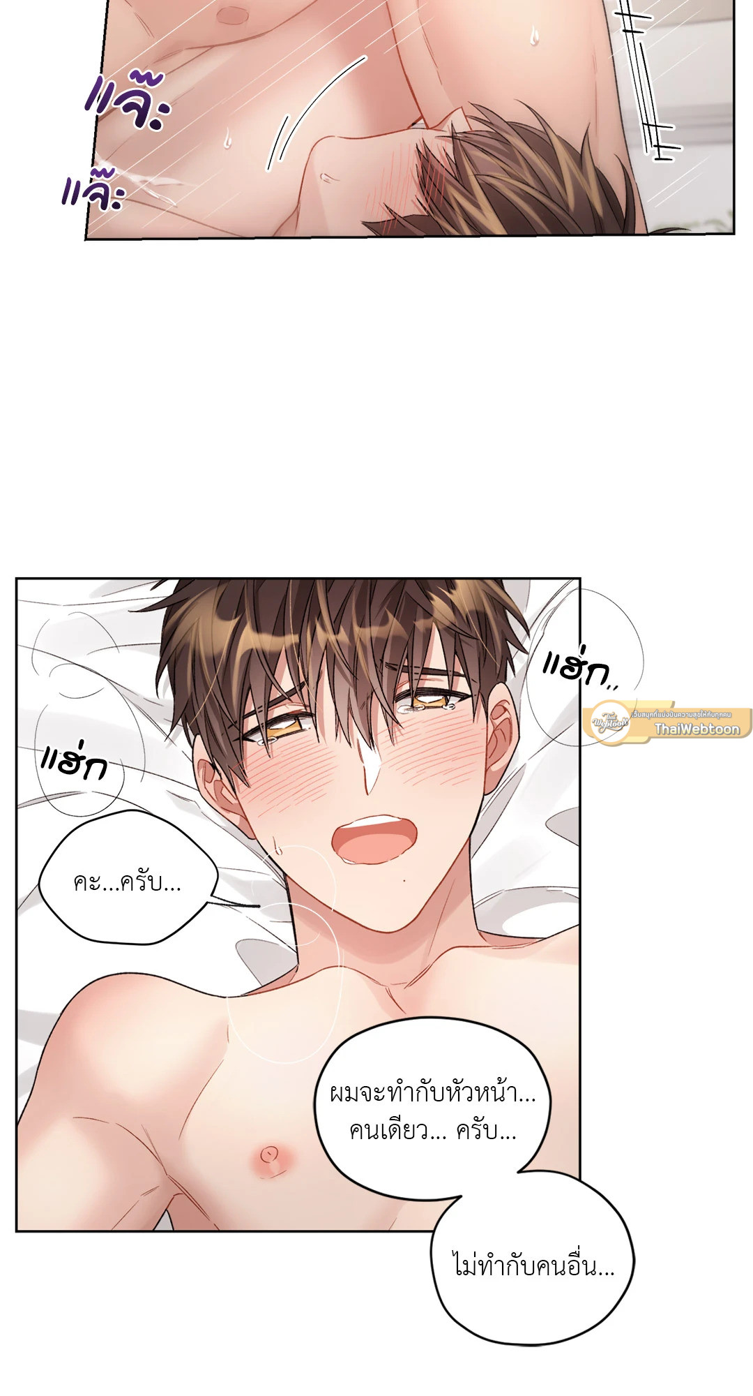 หน้า 29