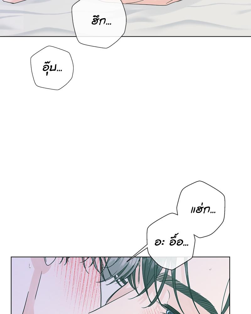 หน้า 85