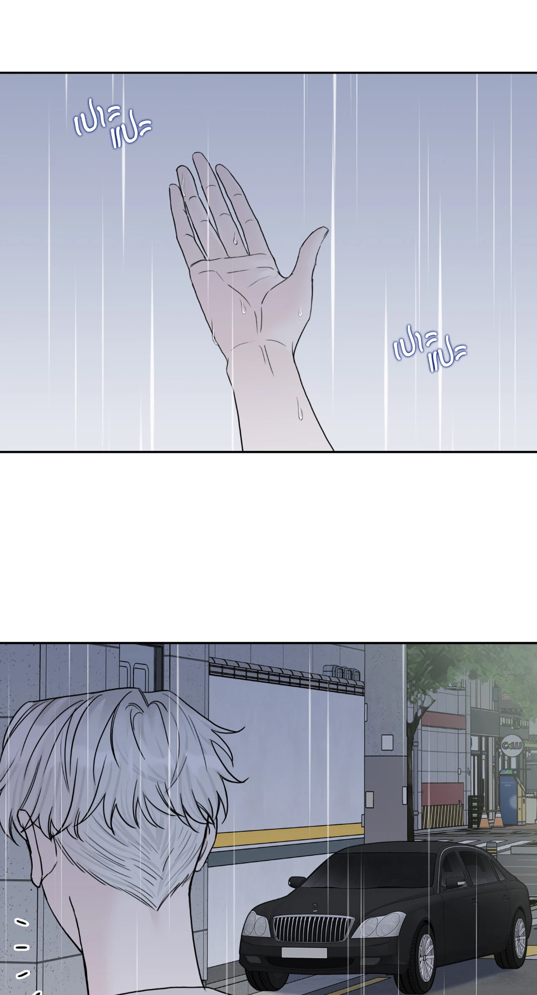 หน้า 81