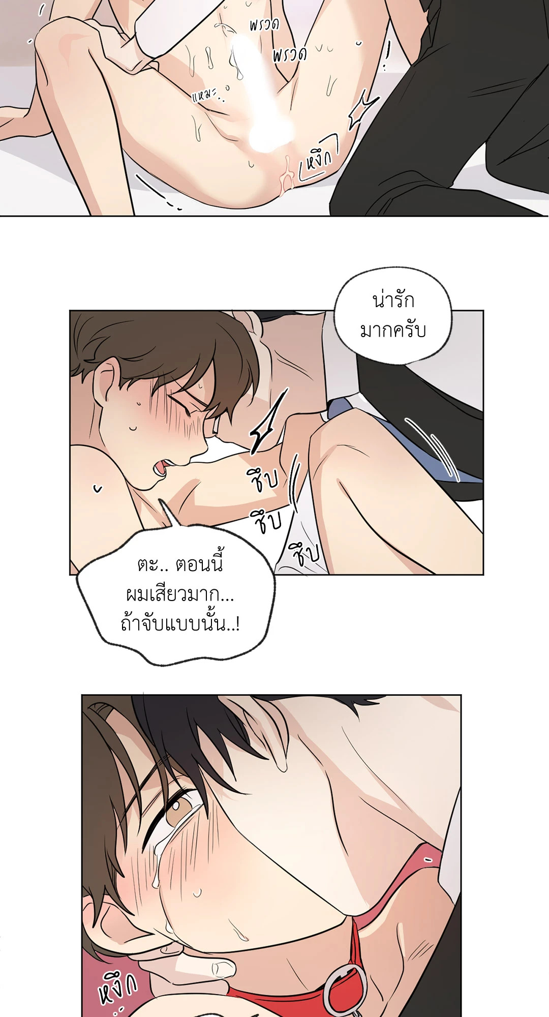 หน้า 29