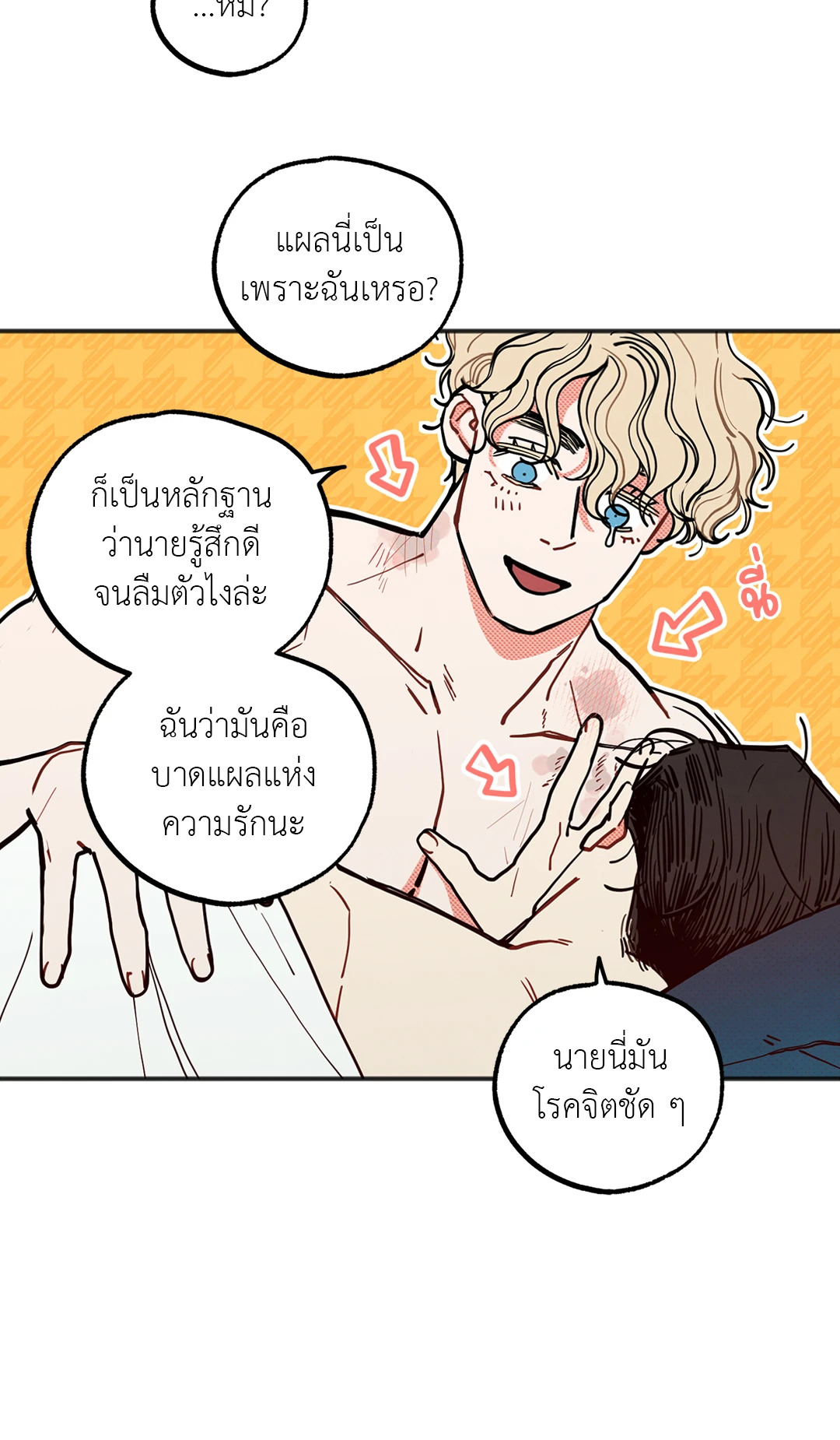 หน้า 43
