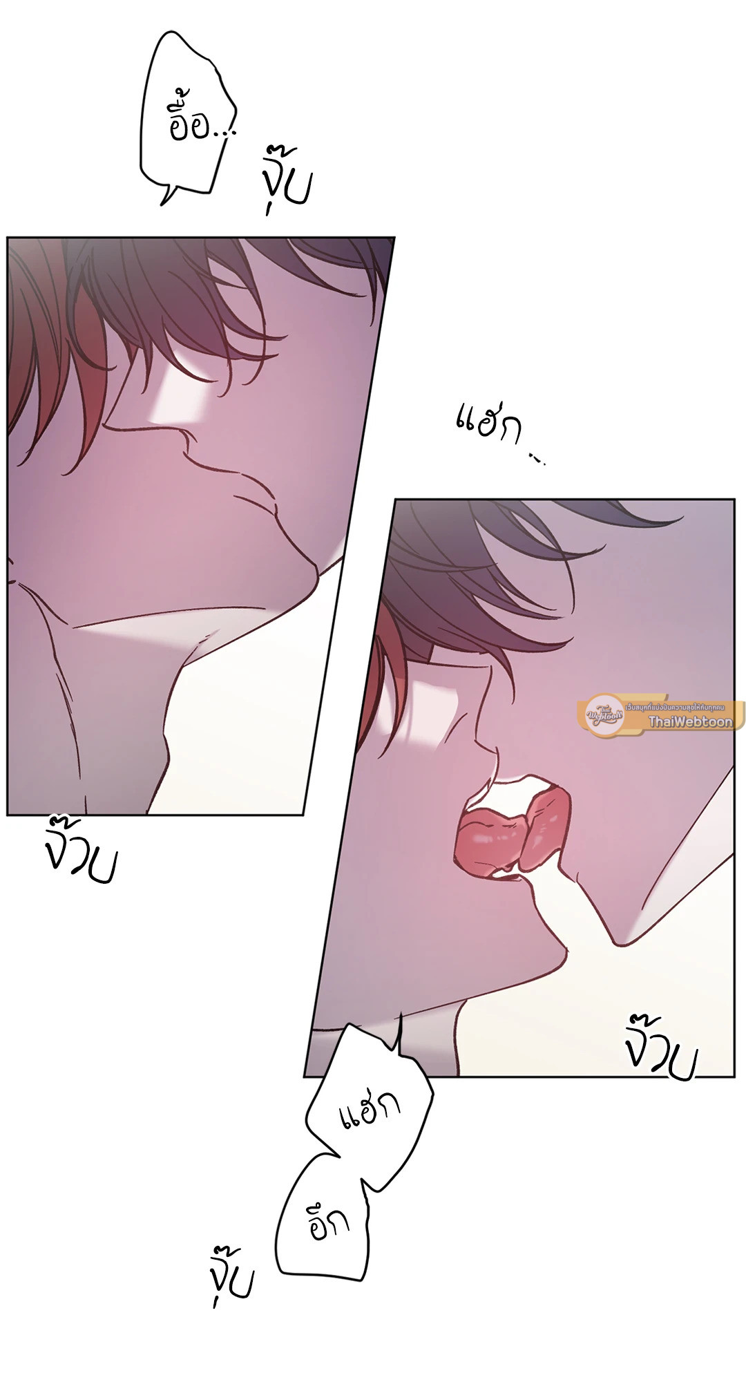 หน้า 41