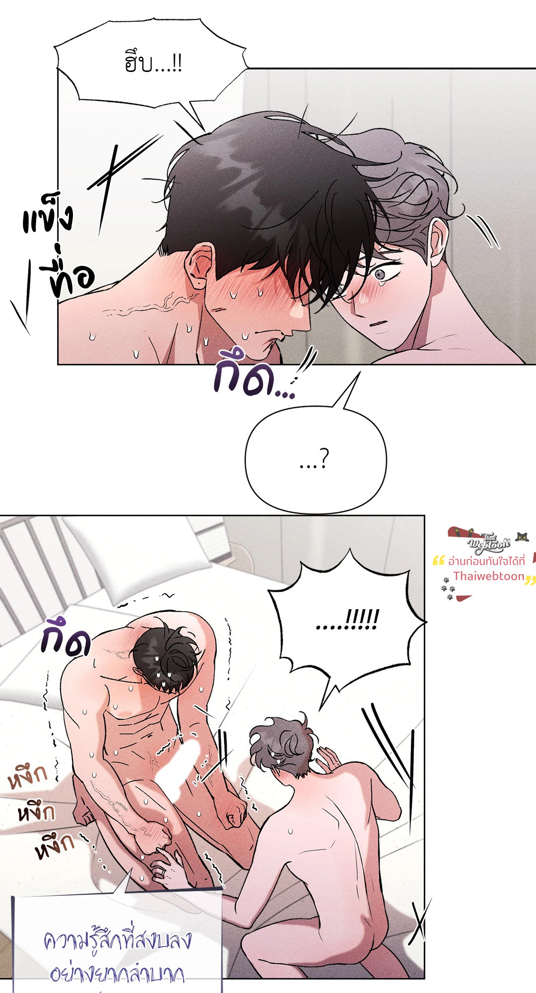 หน้า 43