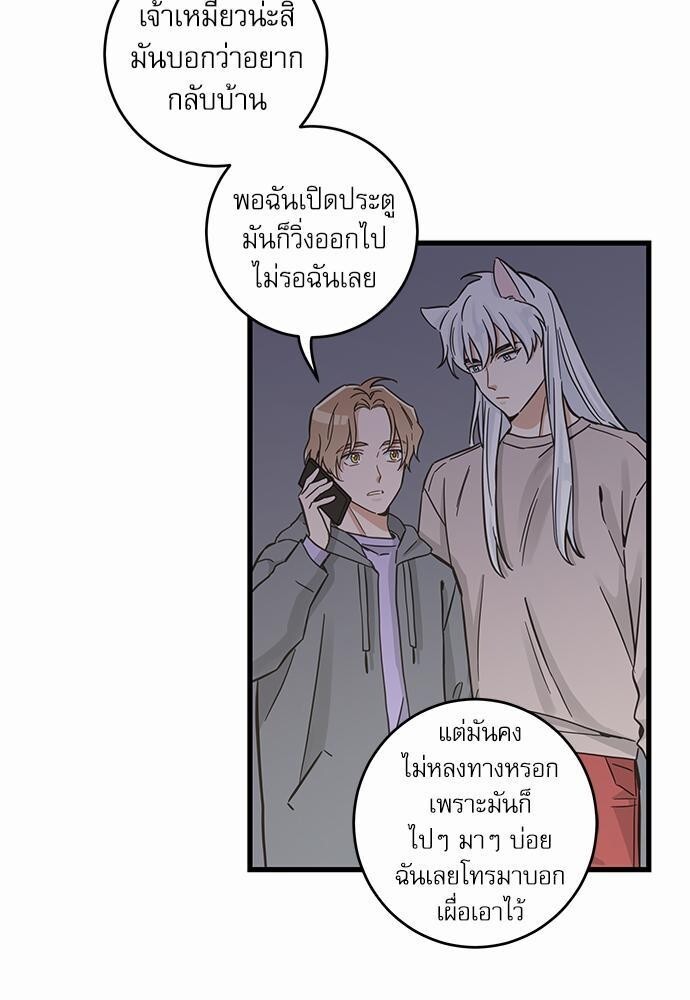 หน้า 51