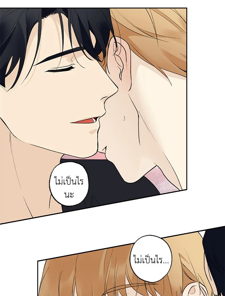 หน้า 46