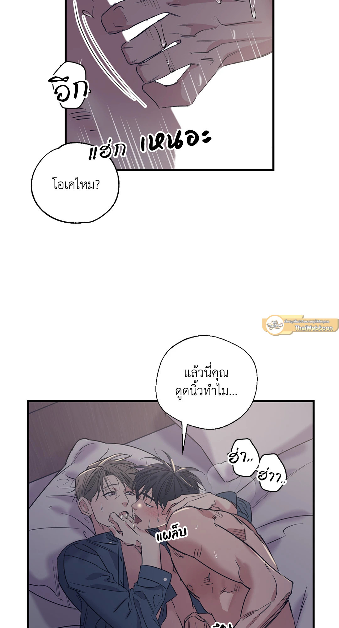 หน้า 41