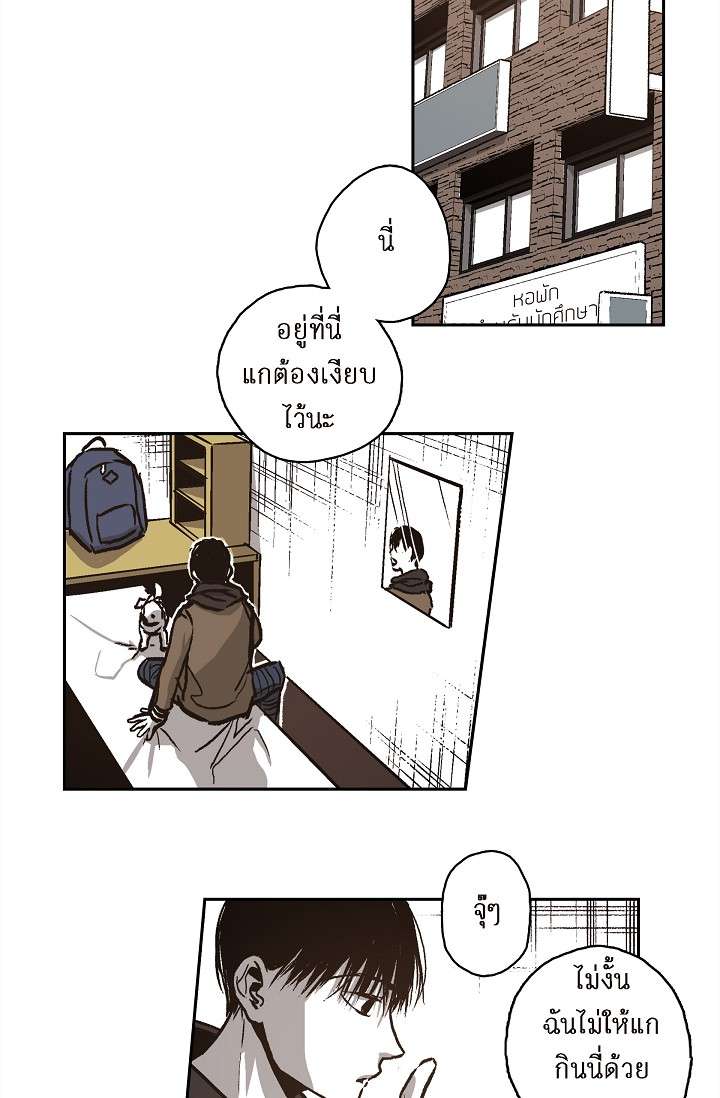 หน้า 26
