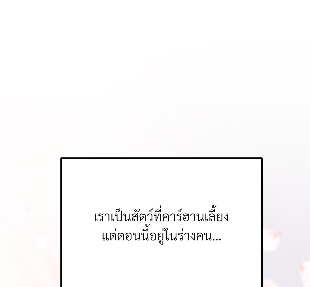 หน้า 137
