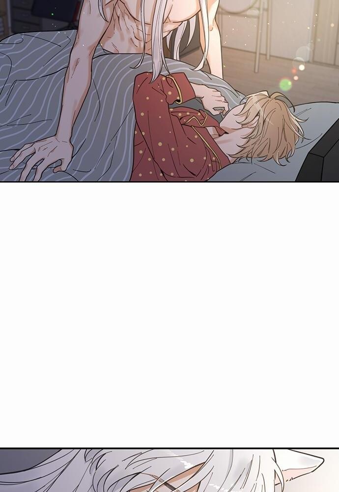 มารักกับเหมียวมั้ยครับ | My One and Only Cat ตอนที่ 3 - รูปที่ 2