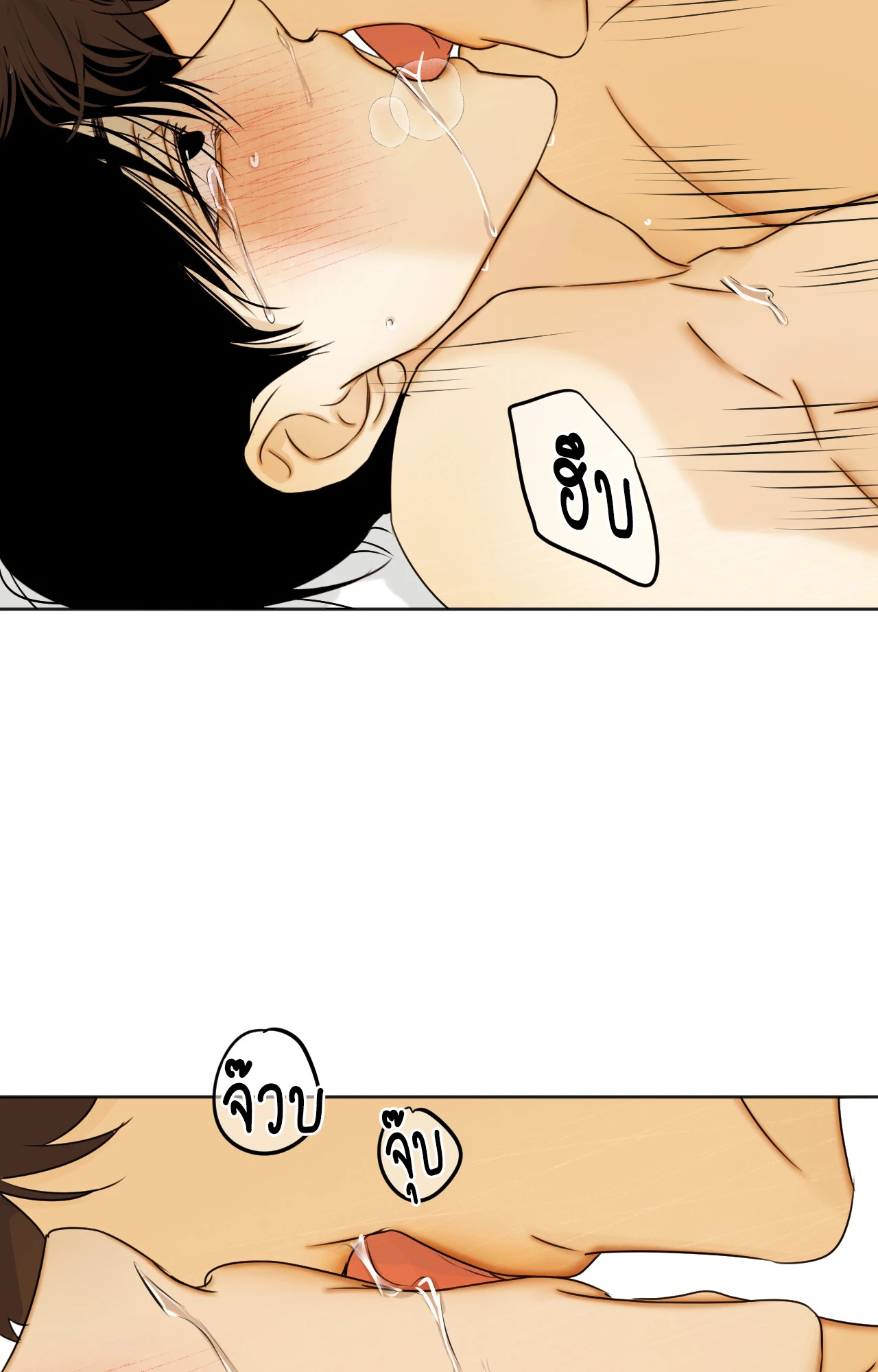 หน้า 50