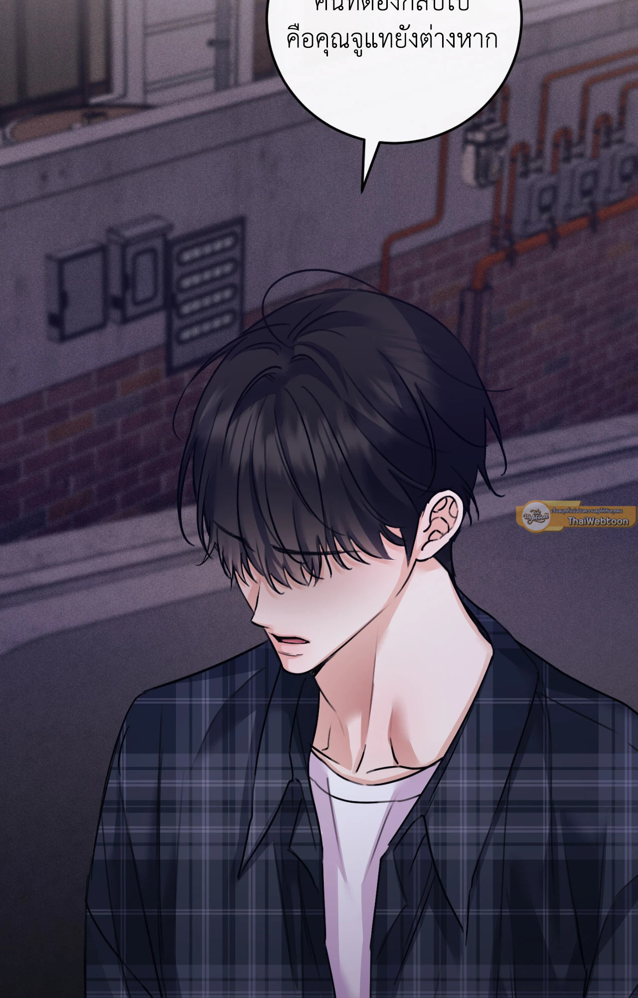 หน้า 101