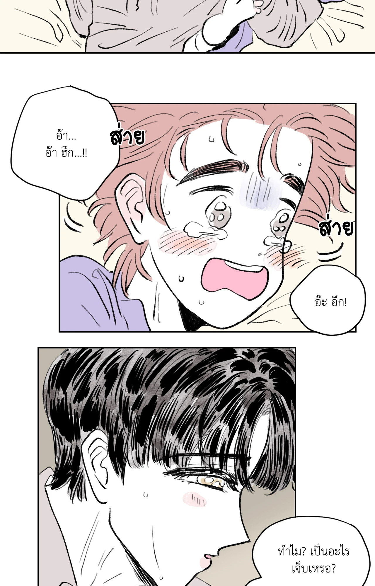หน้า 29