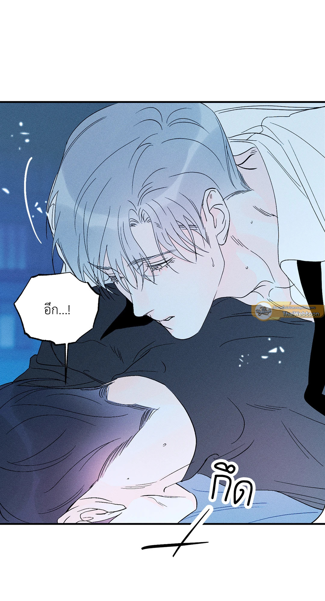 หน้า 41