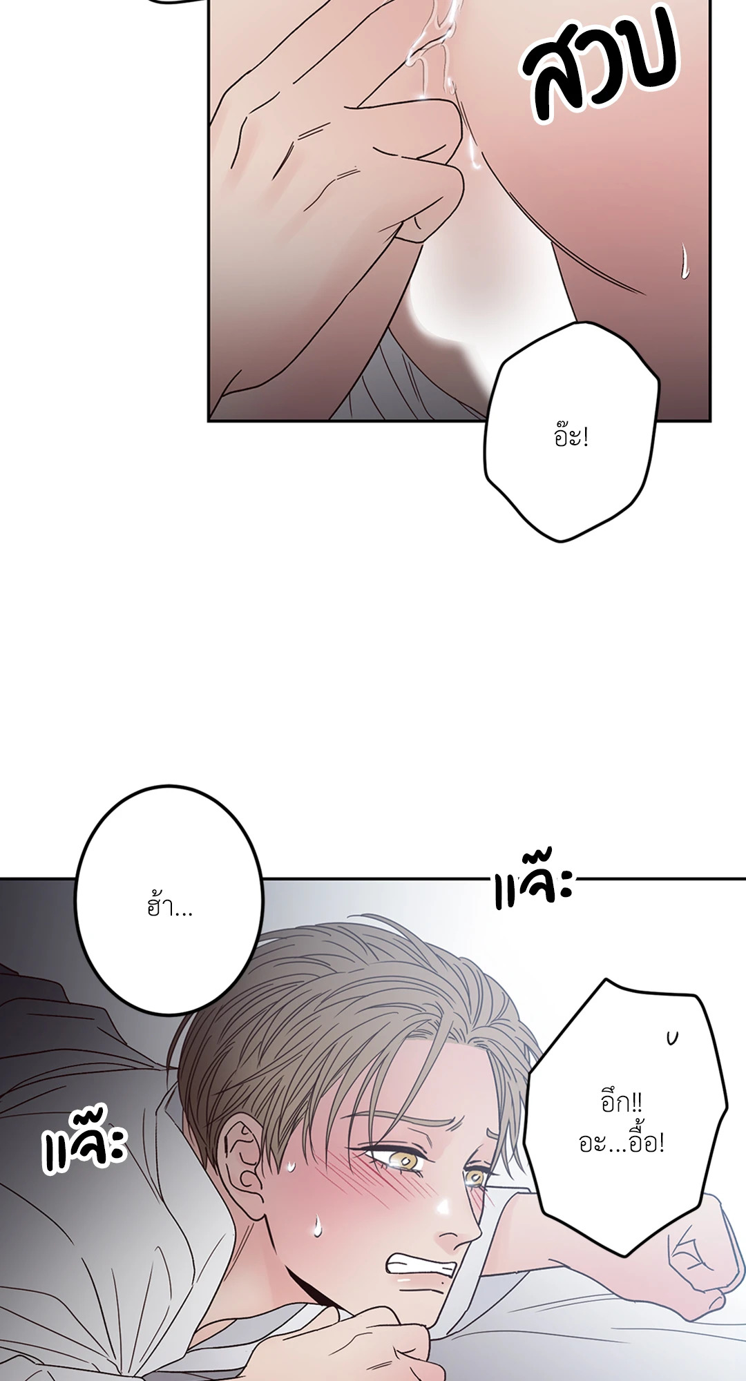 หน้า 30