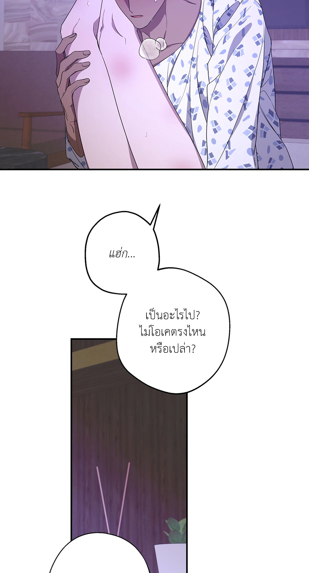 หน้า 43