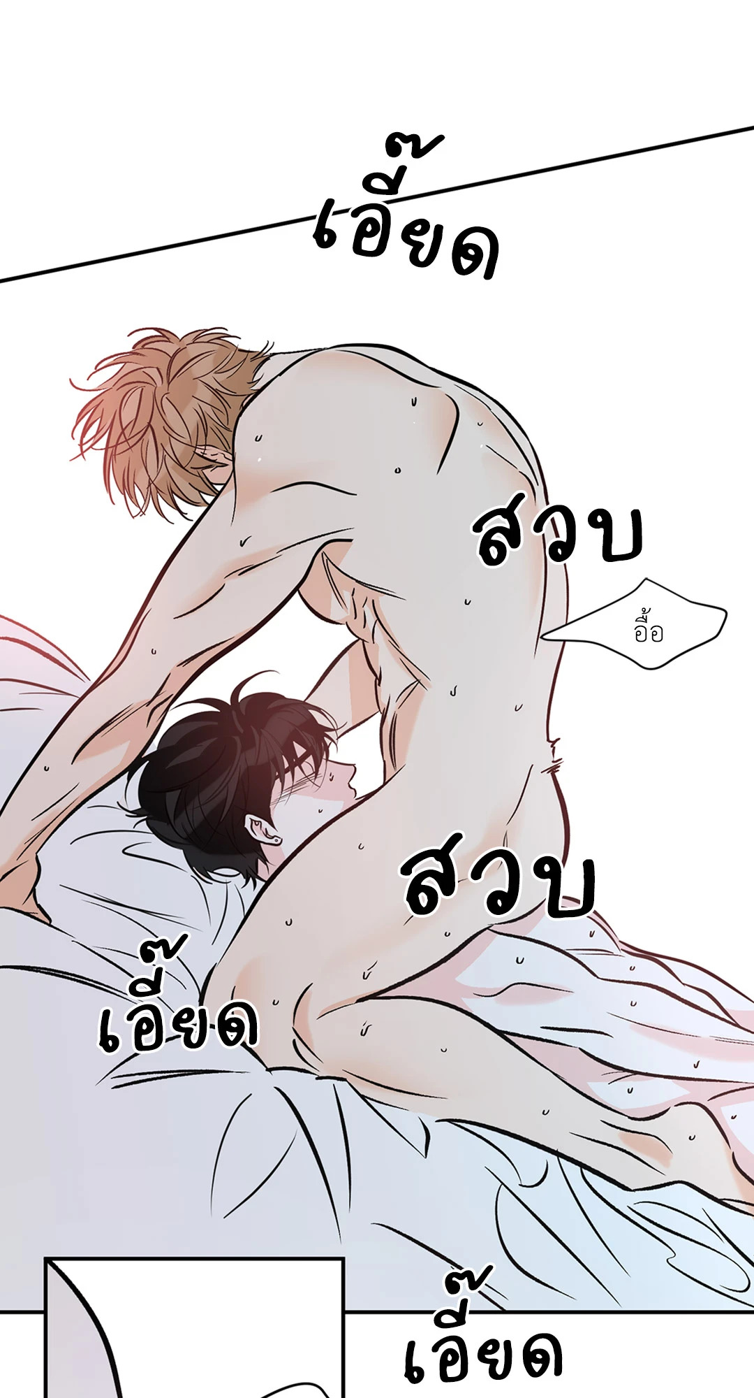 หน้า 28