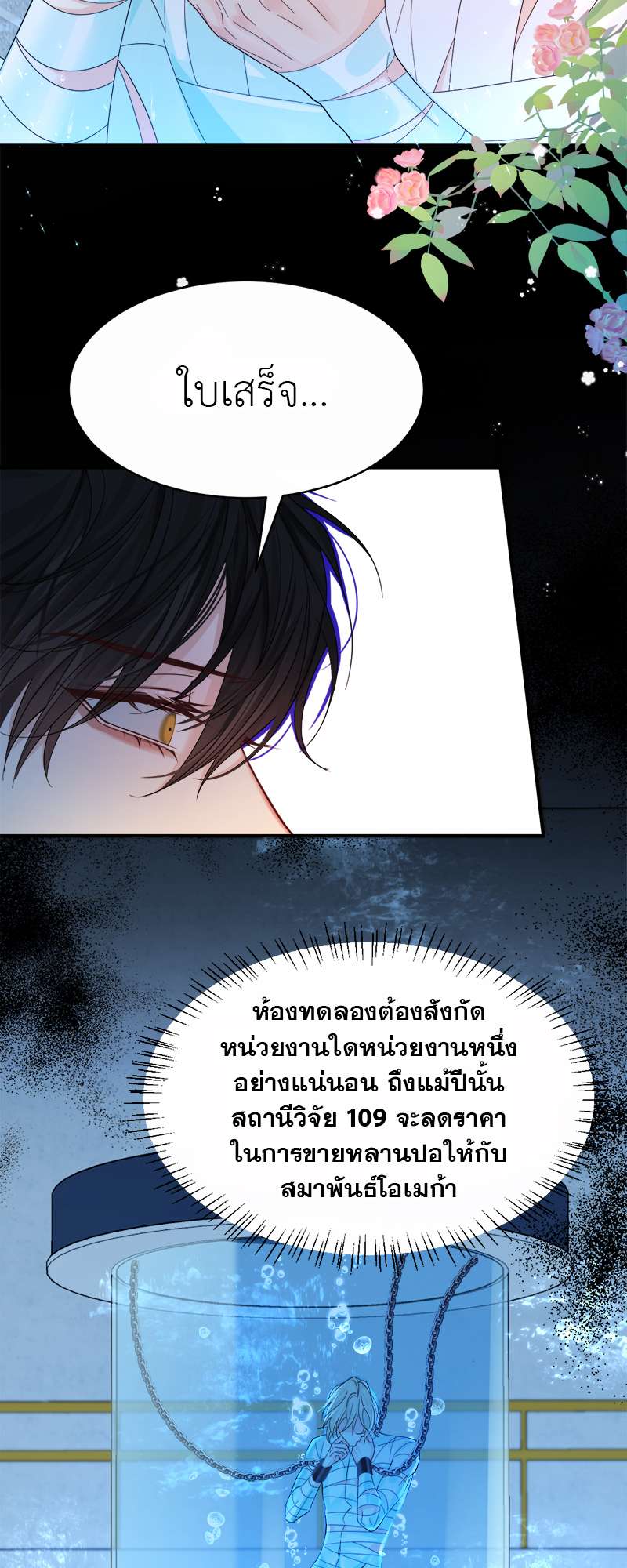หน้า 31