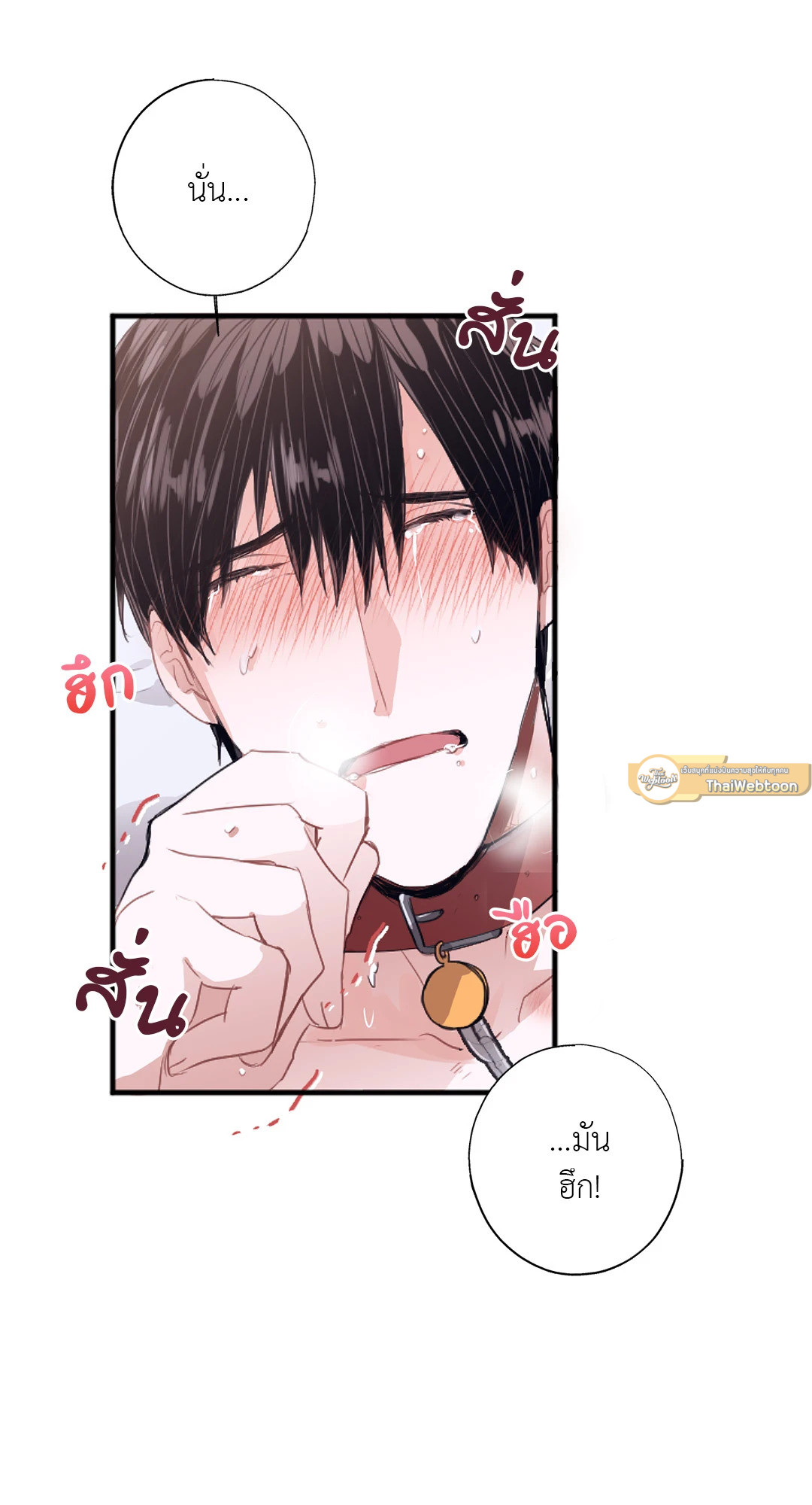 หน้า 61