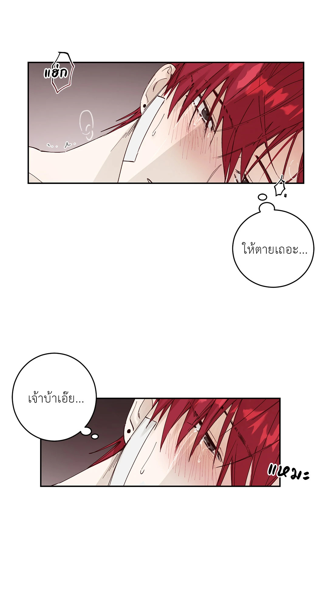 หน้า 49