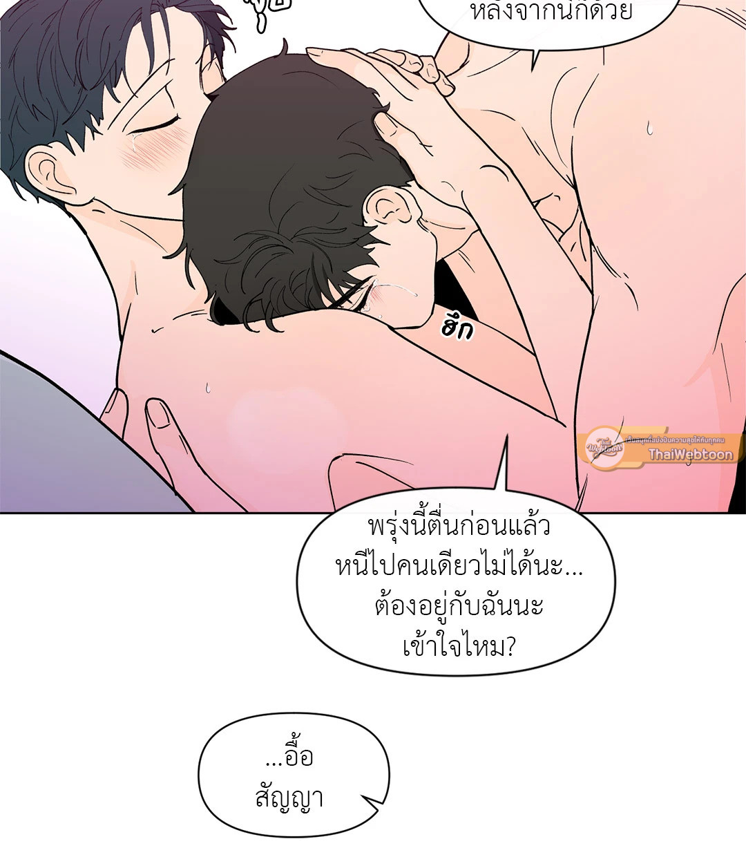 หน้า 43