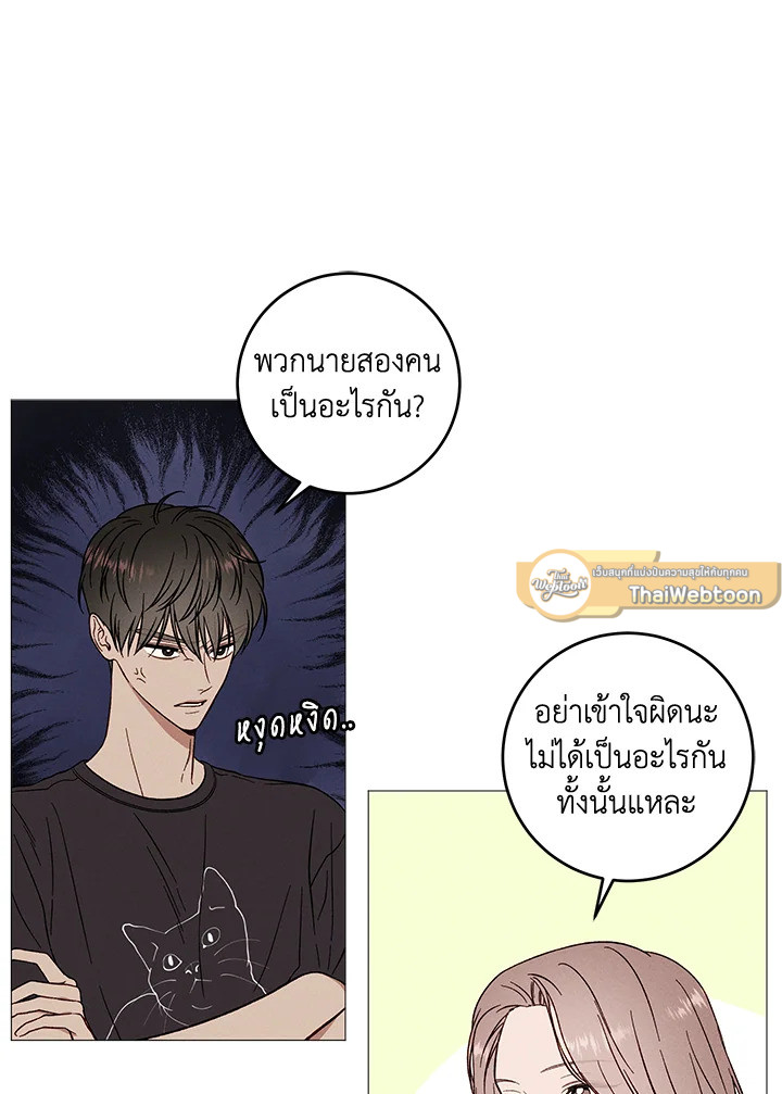 หน้า 30