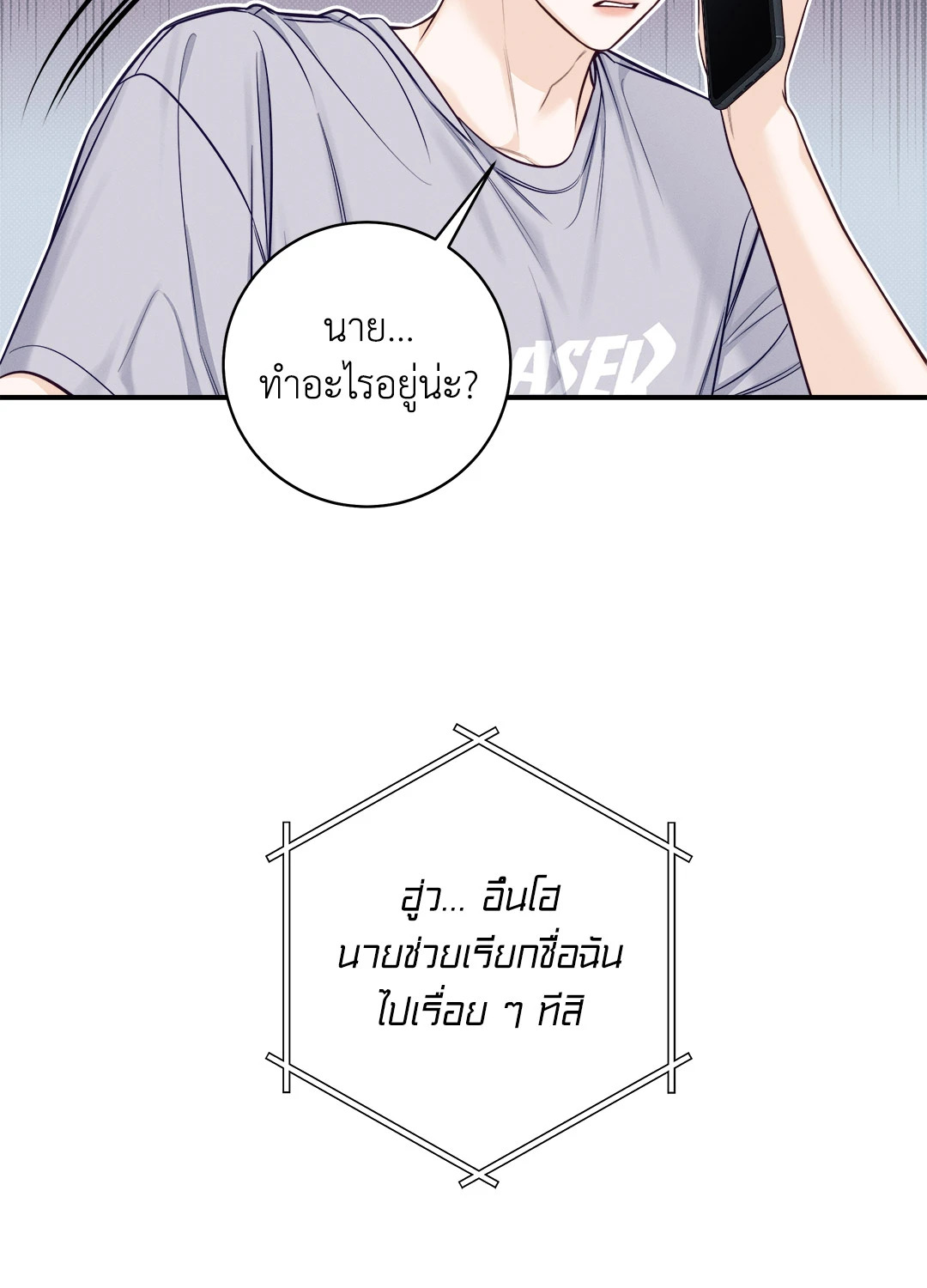 หน้า 43