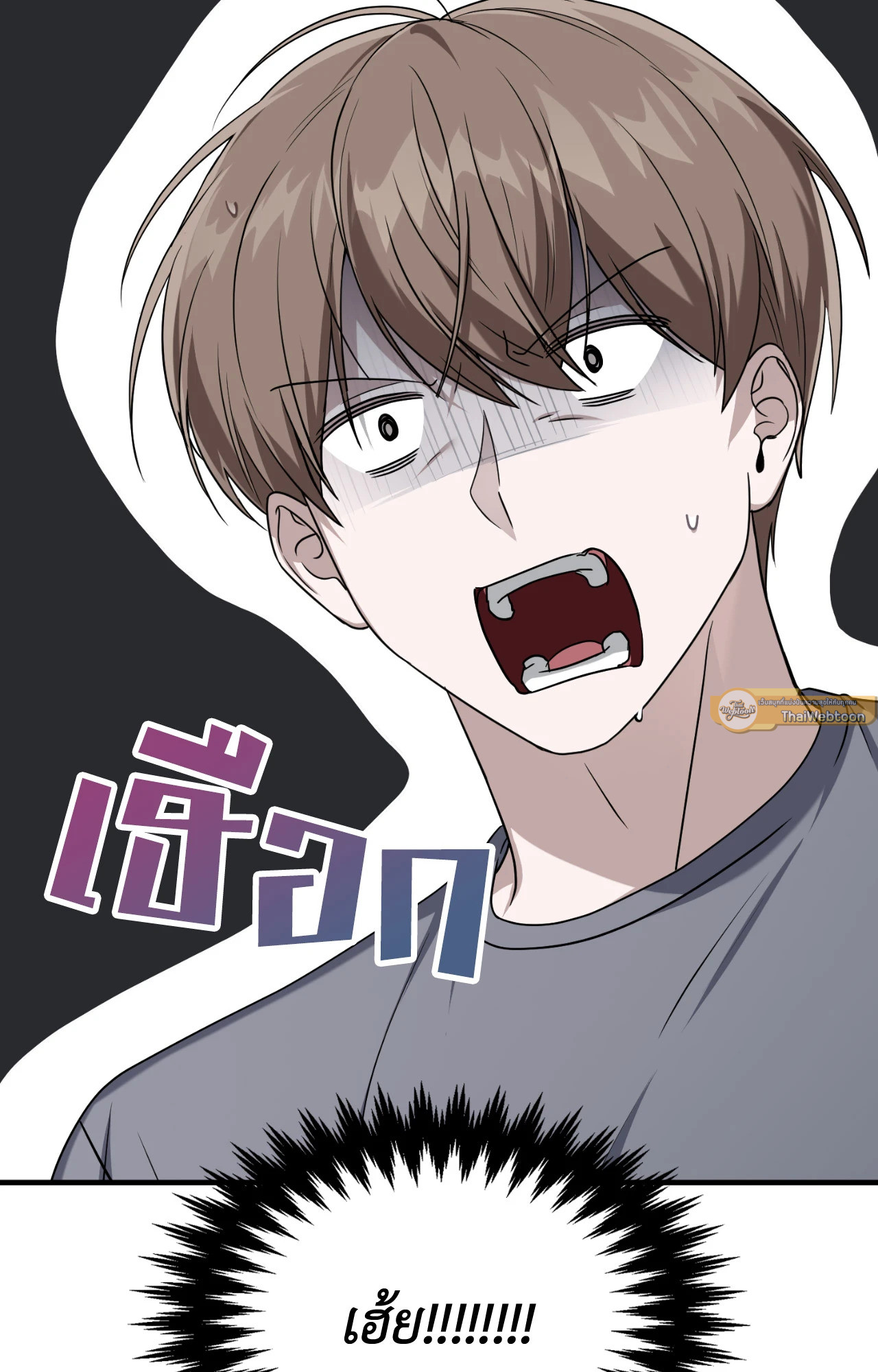 หน้า 102