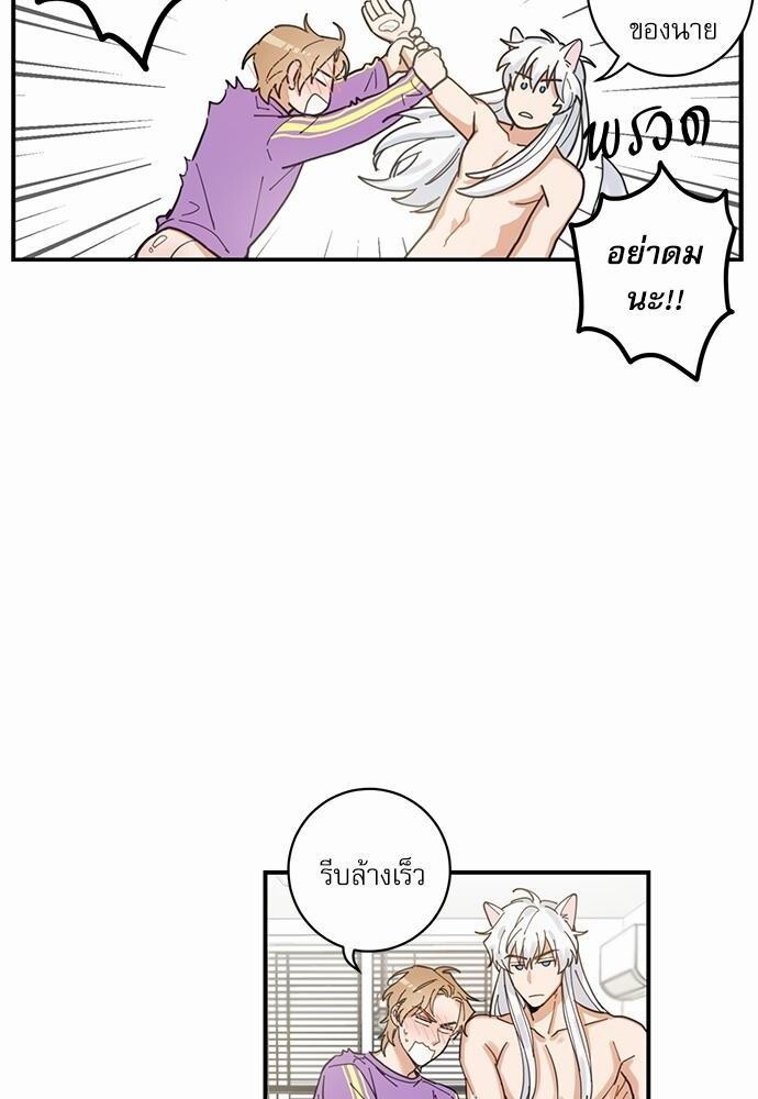 หน้า 62