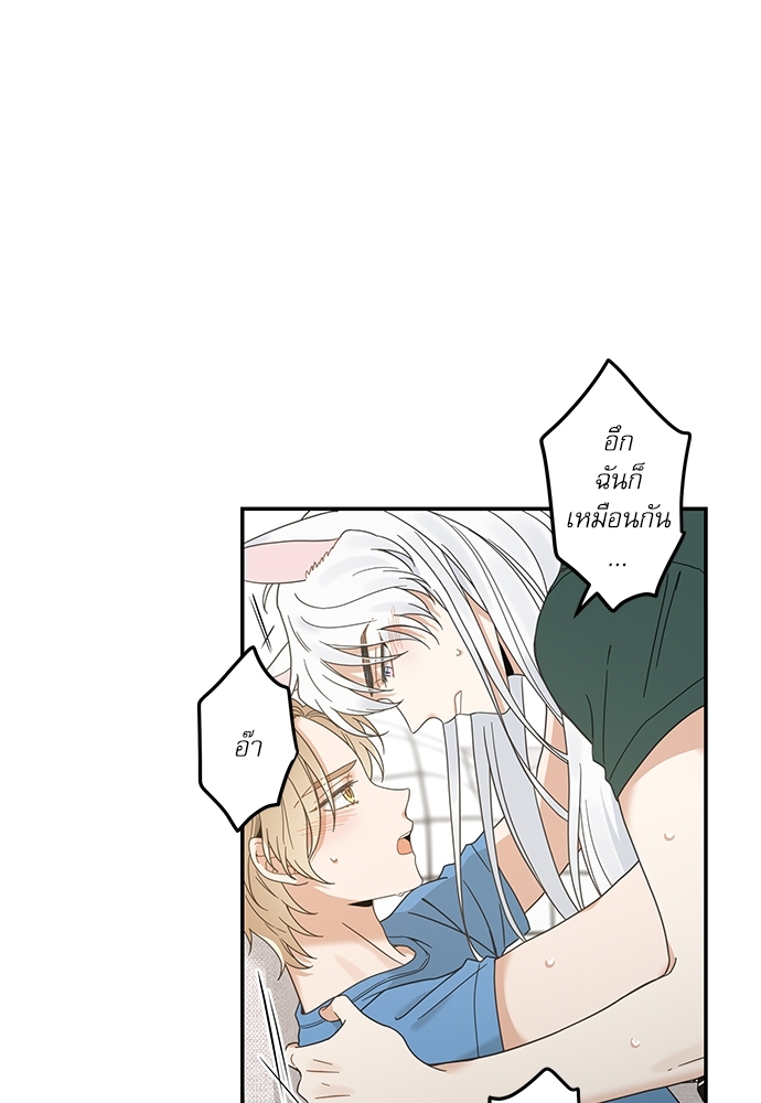 หน้า 37