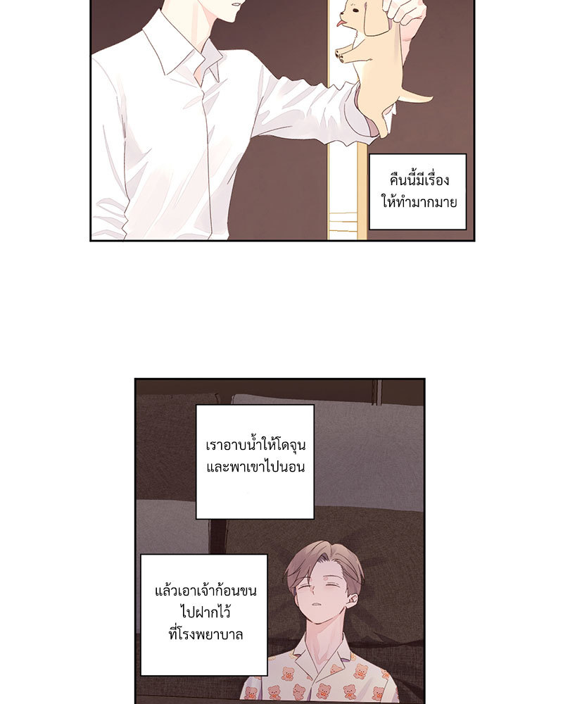 หน้า 44
