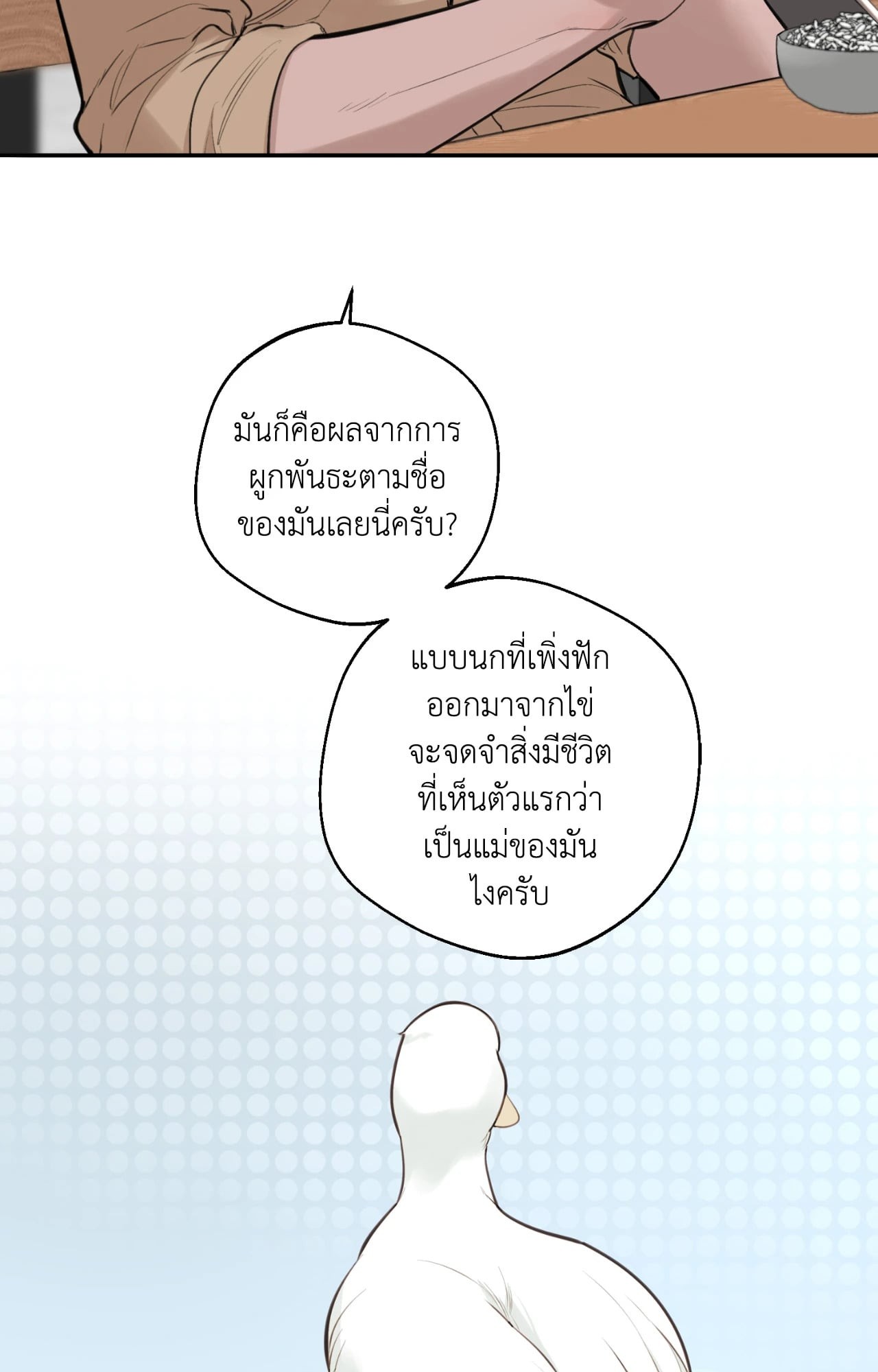หน้า 51