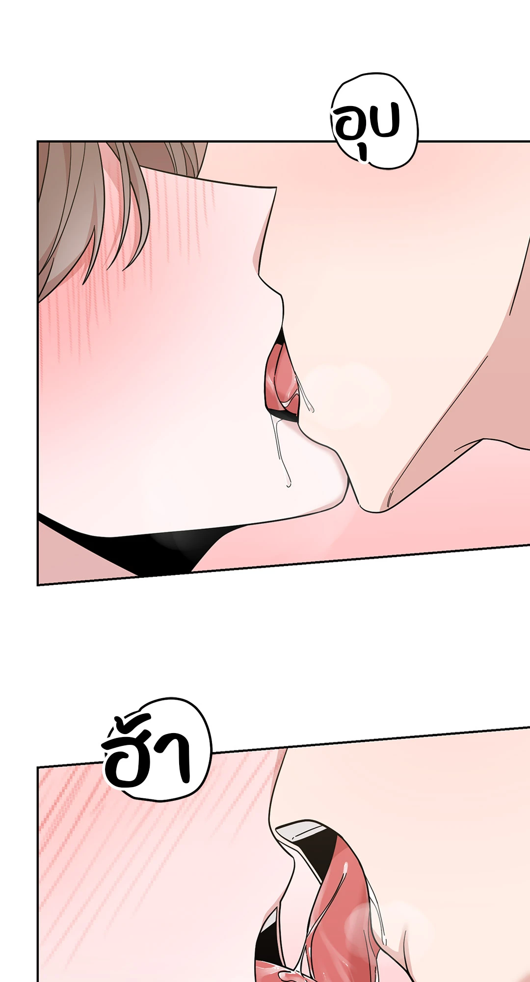 หน้า 102