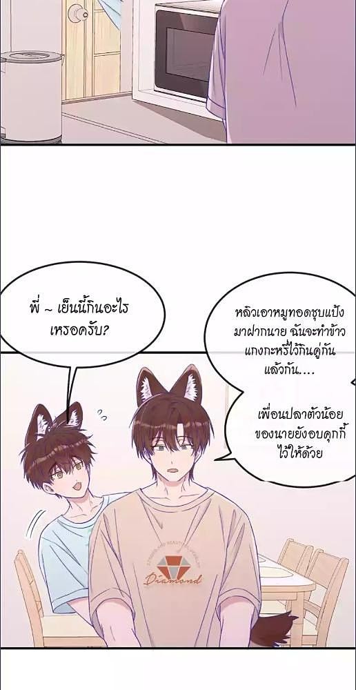 หน้า 28