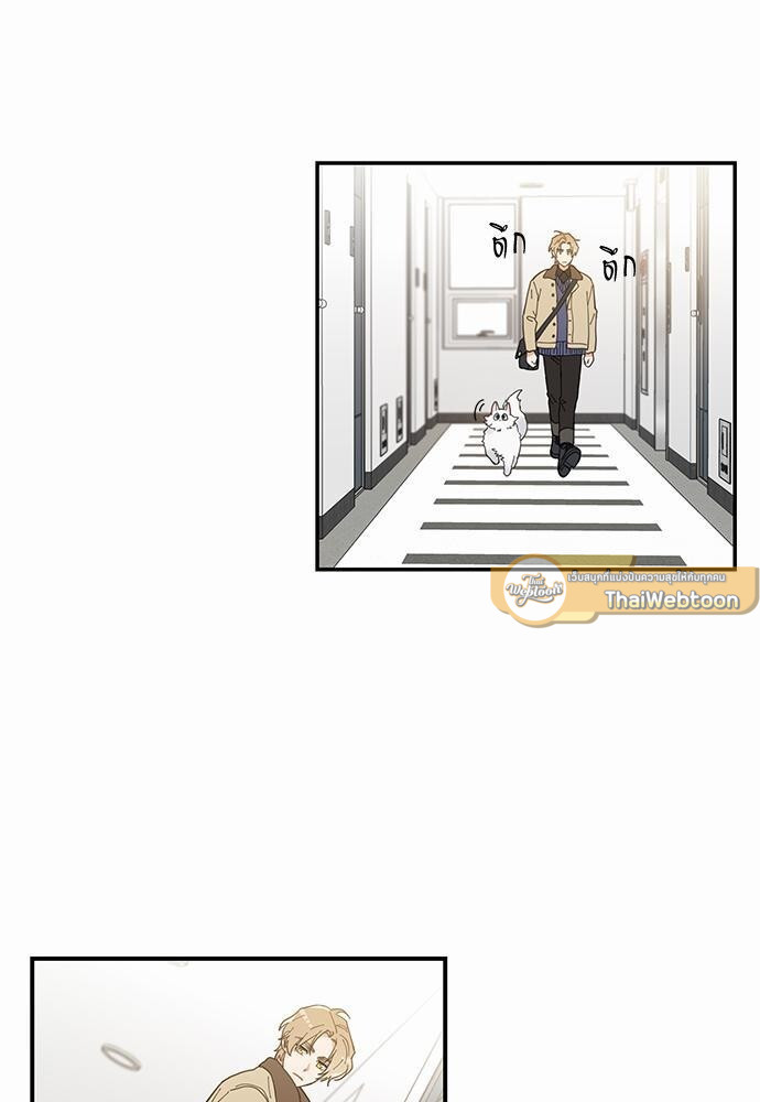 หน้า 43