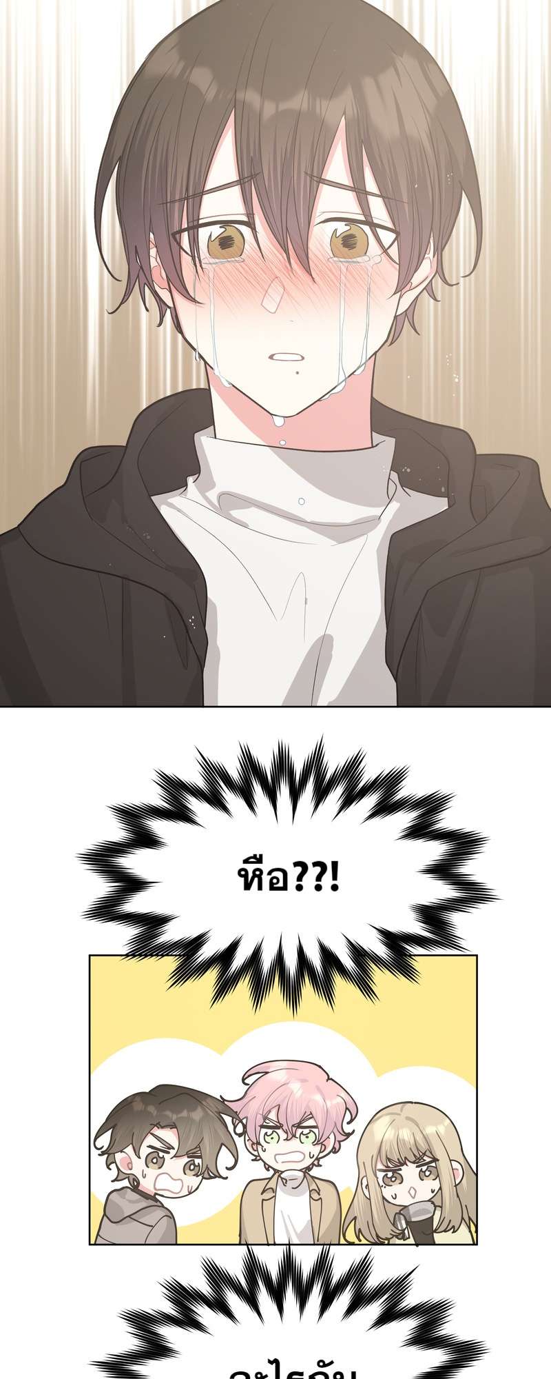 หน้า 29
