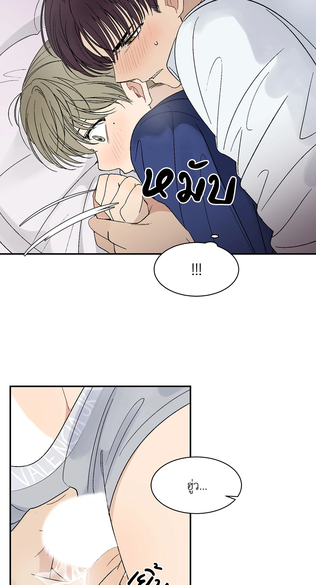 หน้า 43