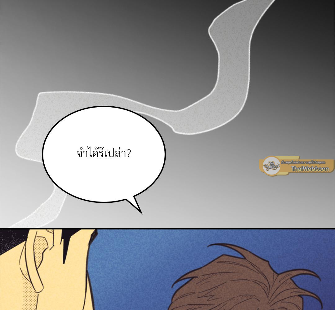 หน้า 117