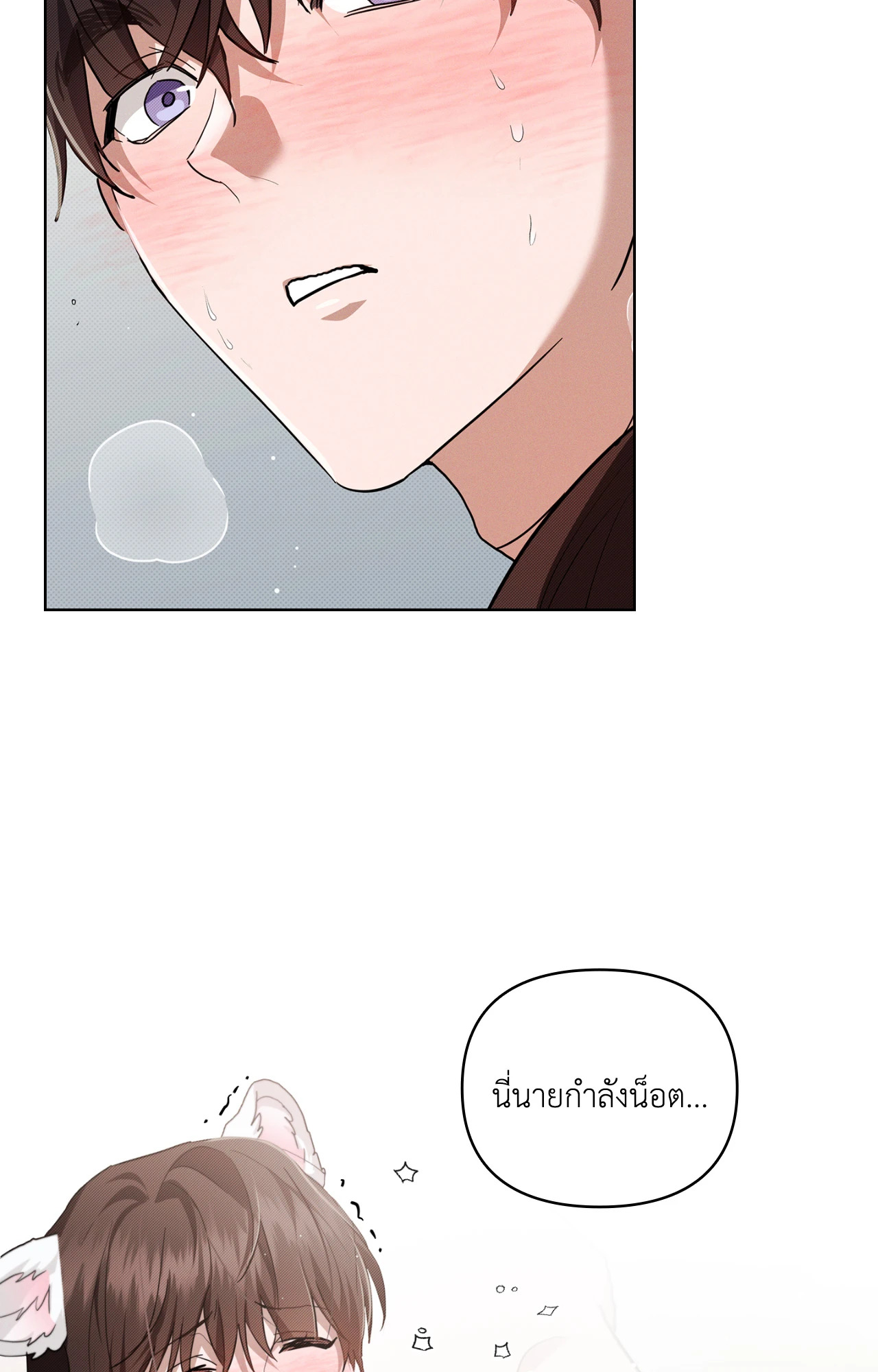 หน้า 52