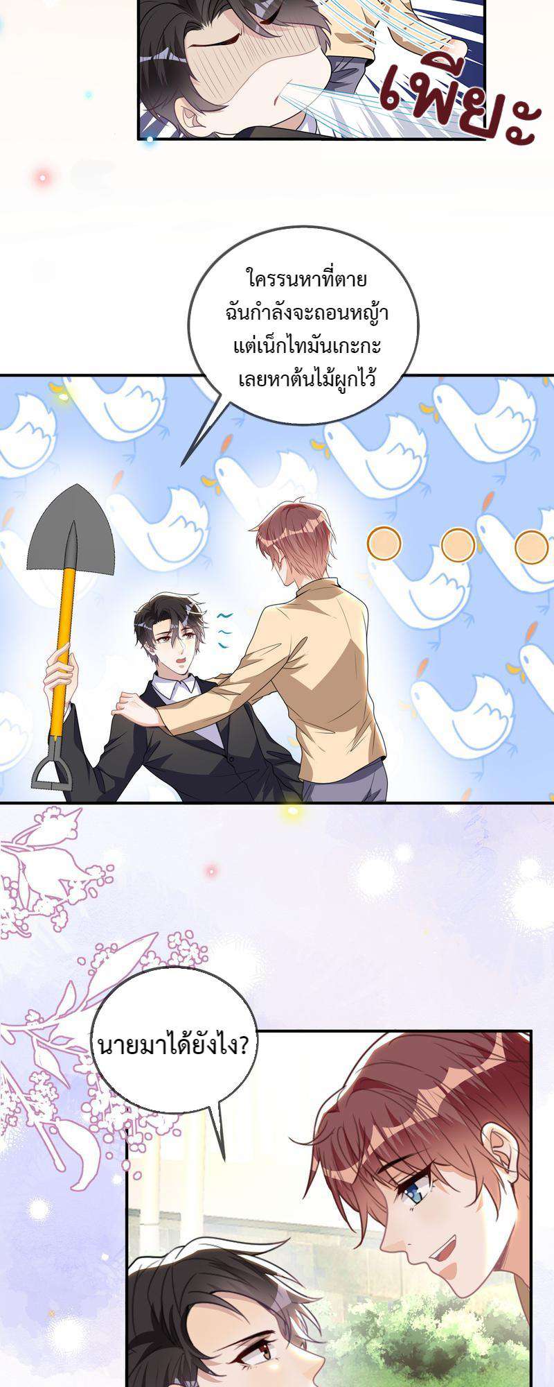 หน้า 11