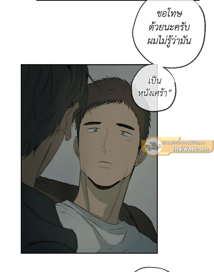 หน้า 62