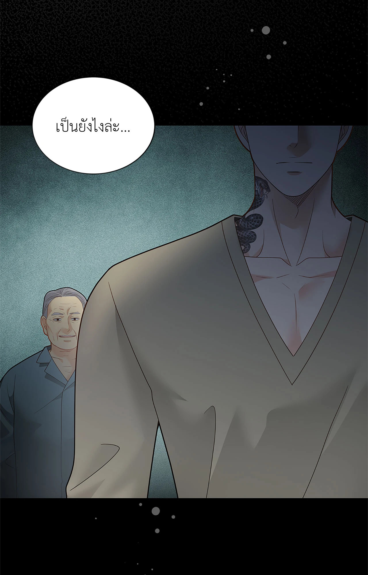 หน้า 102