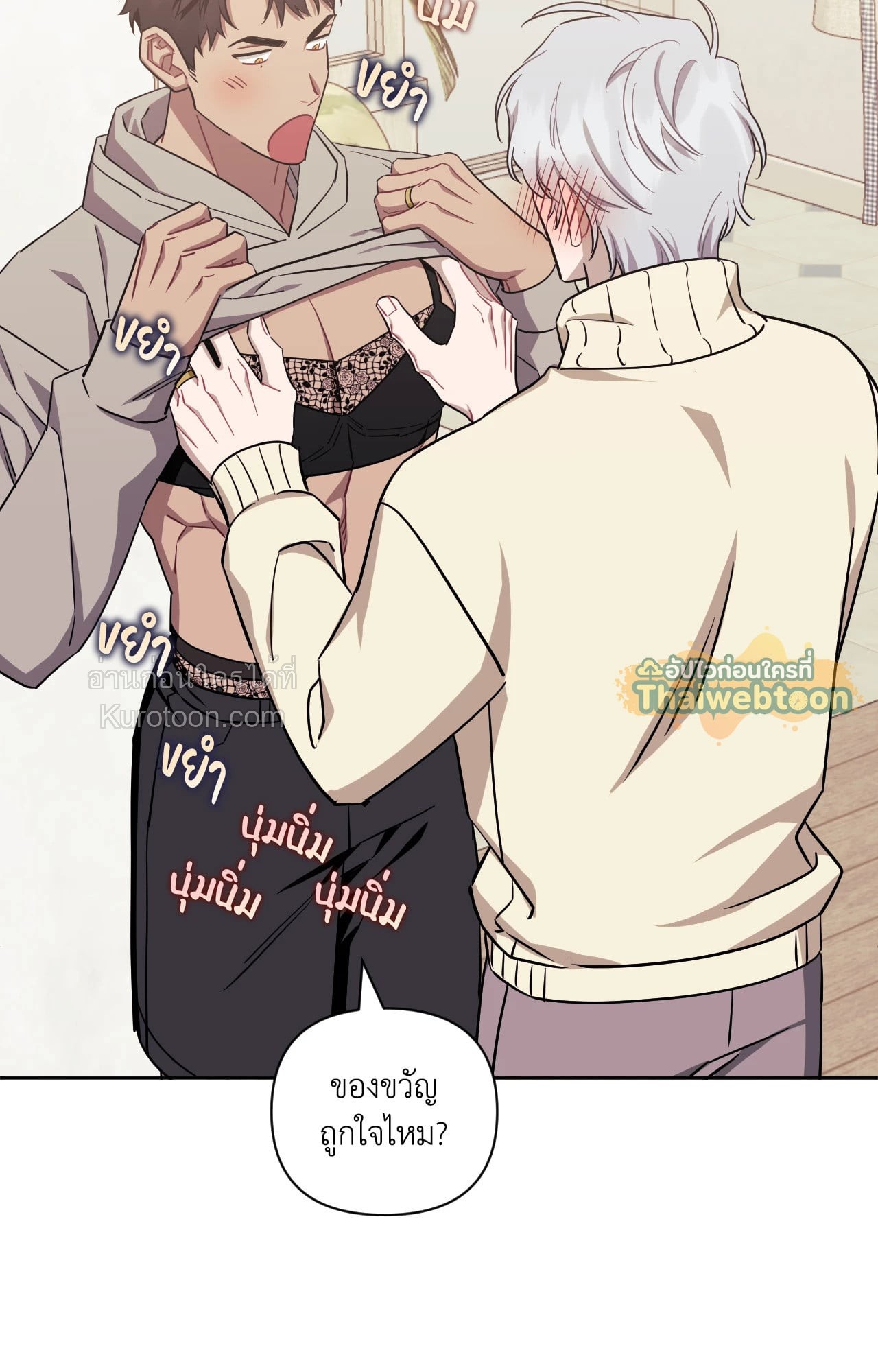 หน้า 17