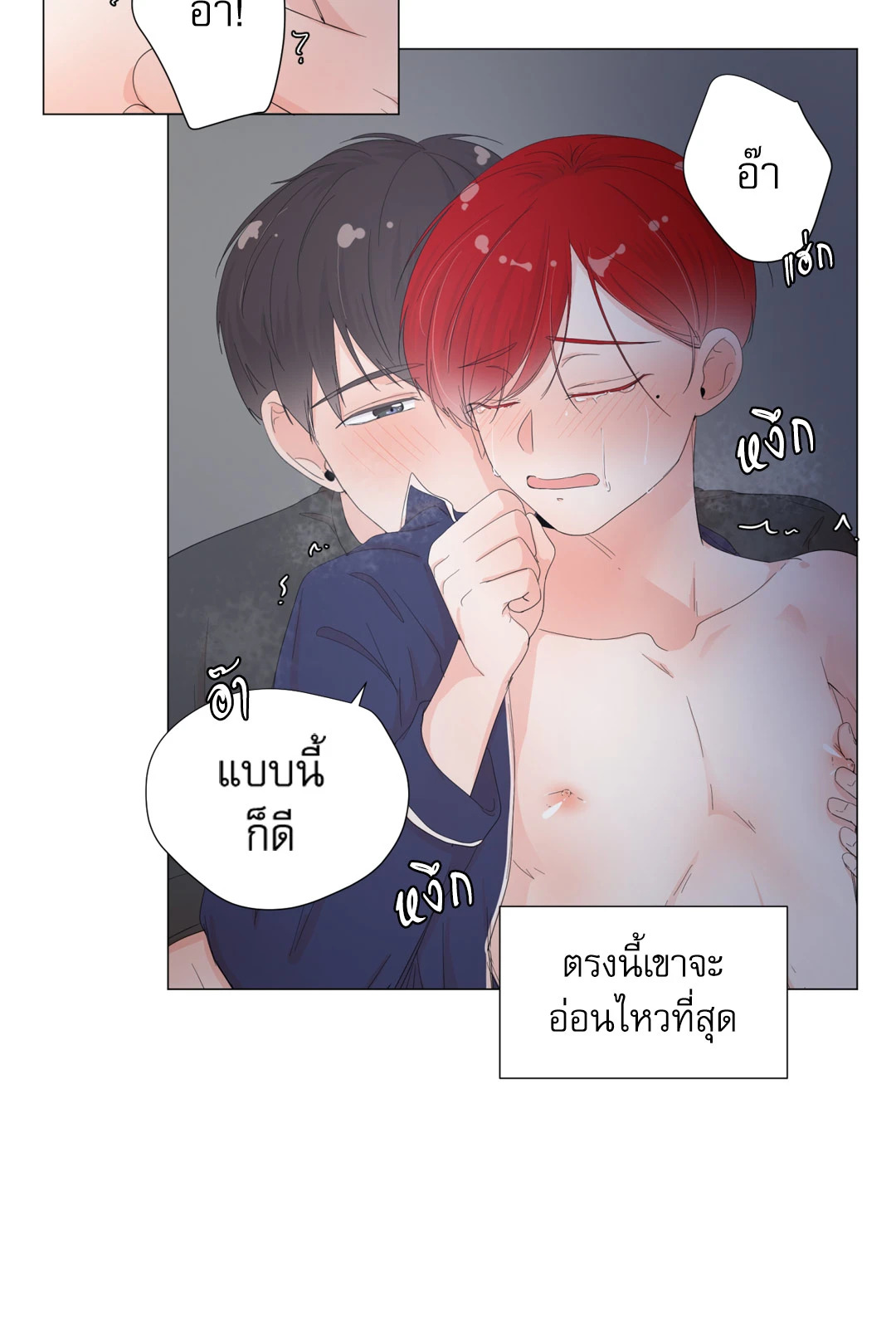 หน้า 43