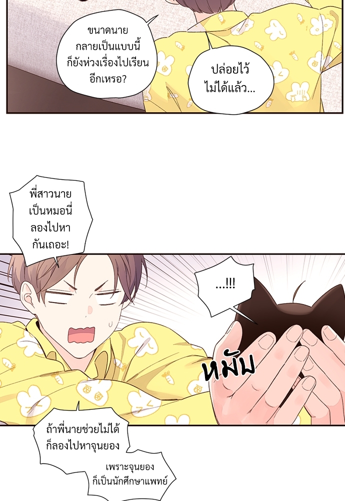 หน้า 43