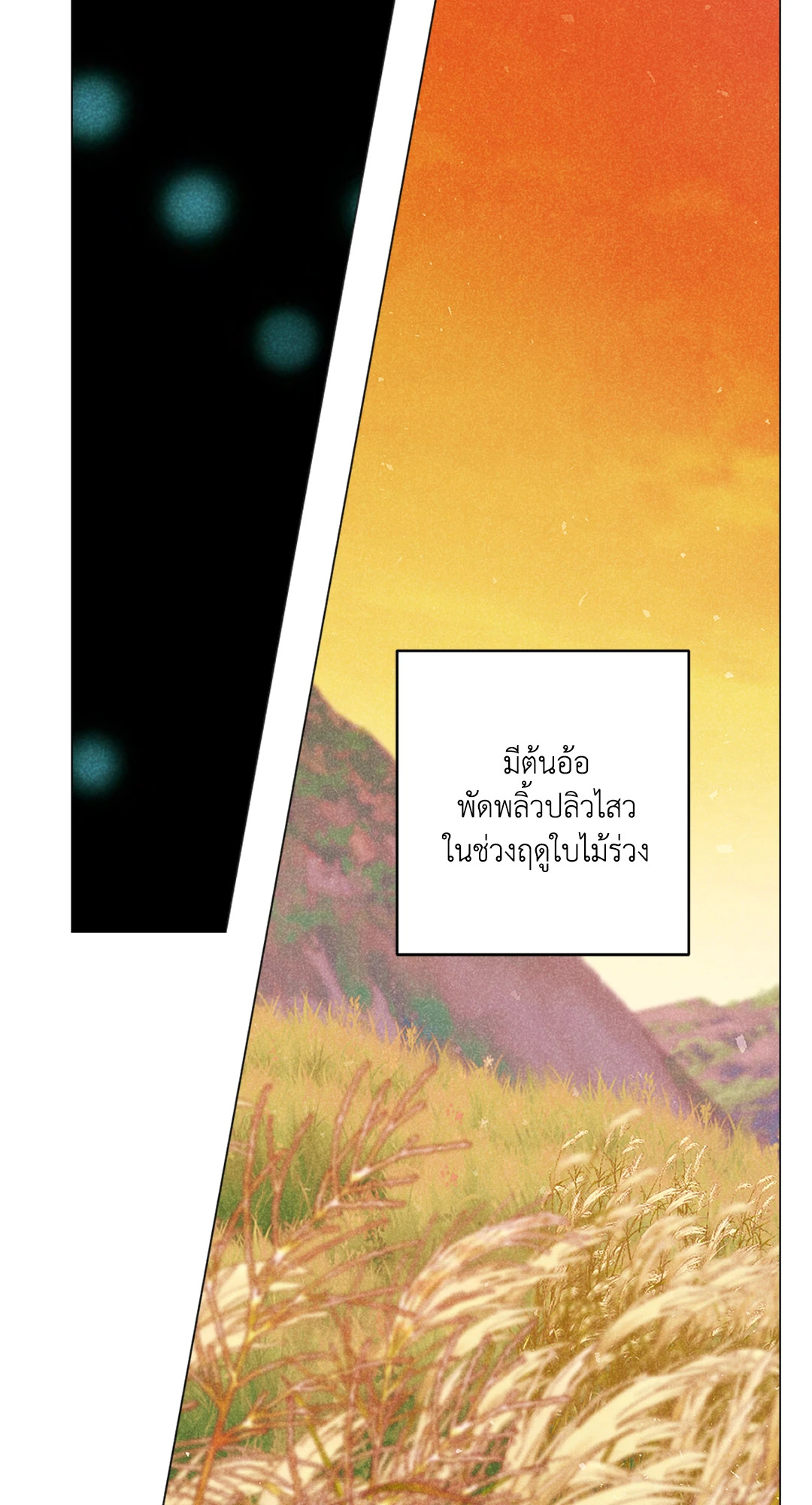 หน้า 90