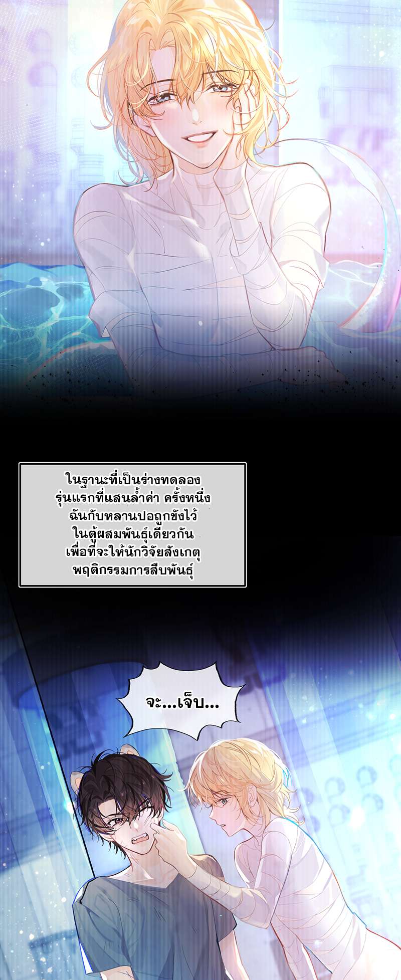 หน้า 10