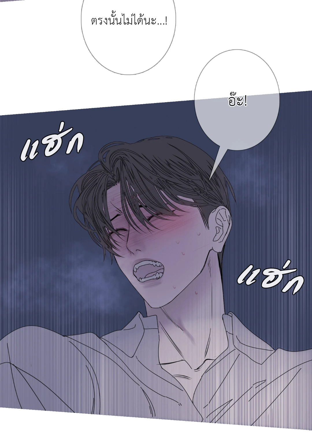 หน้า 55